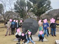 お花見