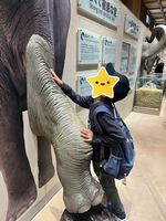 東山動物園1
